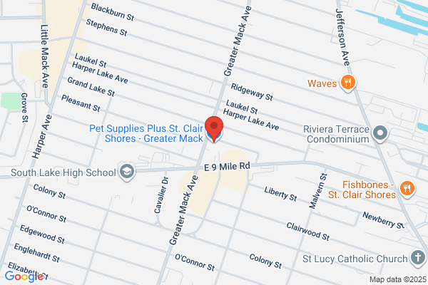 Pet Supplies Plus