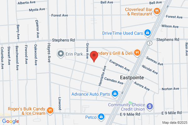 Michigan Boat Cartage & Surveying Inc