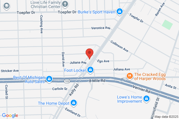 Michigan Diagnostic Services