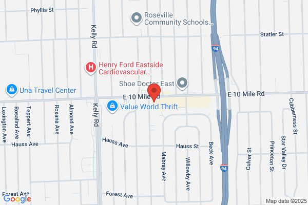 Michigan Orthopedic Services