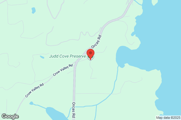 Judd Cove Shellfish
