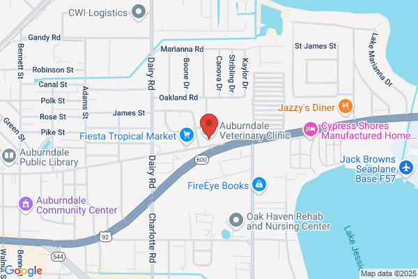 Auburndale Veterinary Clinic