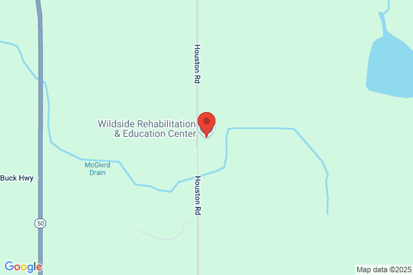 Wildside Rehabilitation & Education Center