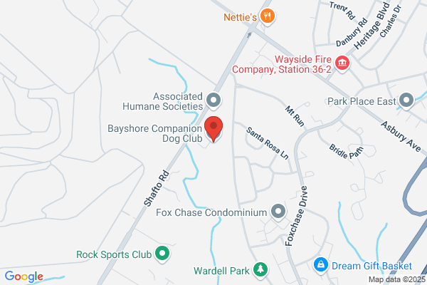 Bayshore Companion Dog Club
