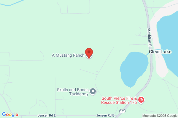 Mustang Ranch