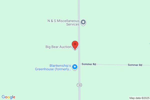 Big Bear Auction Company