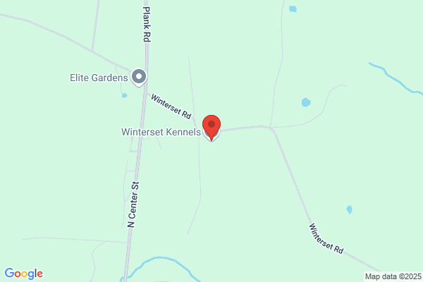 Winterset Kennels