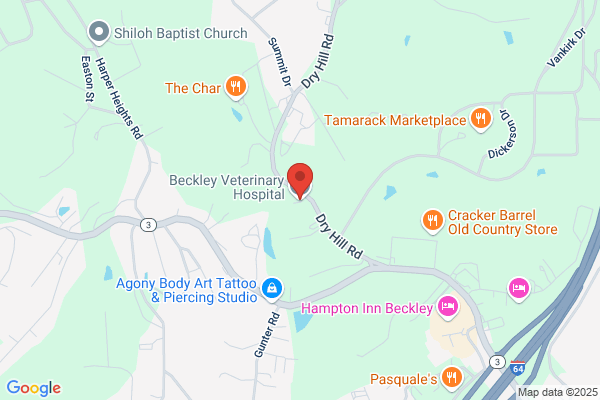 Beckley Veterinary Hospital