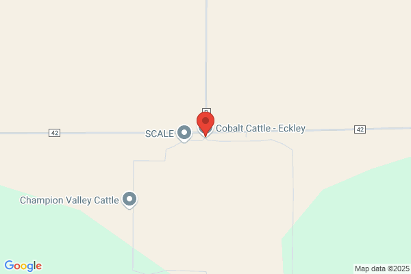 Colorado Boar Stud Real Estate Llc