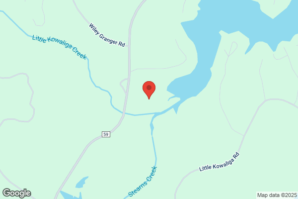 Lanier Rental