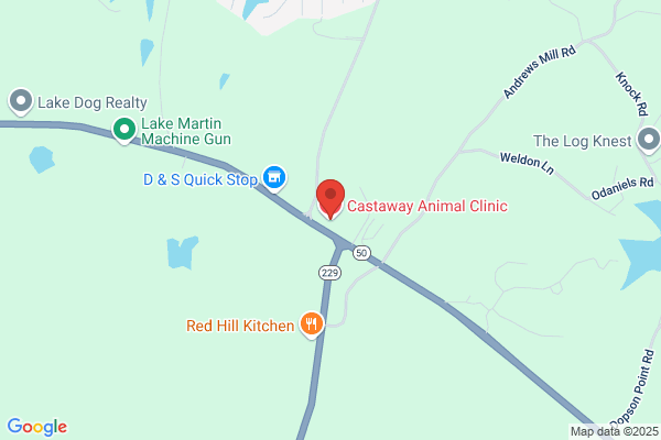 Mitchell Veterinary Hospital