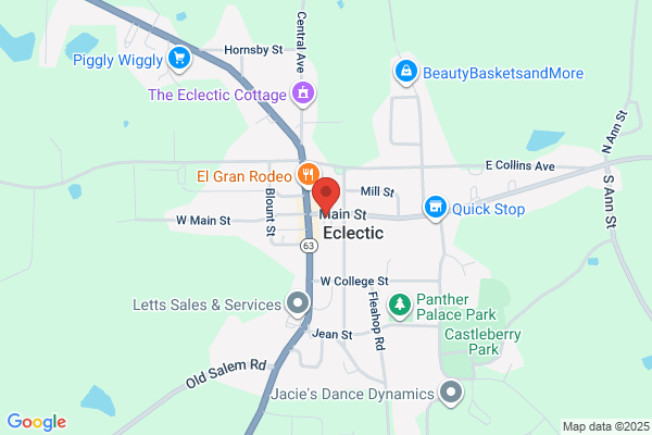Town of Eclectic Library