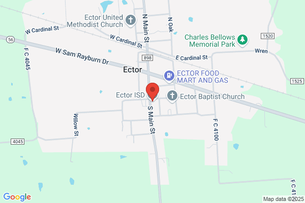 Ector Rural School District