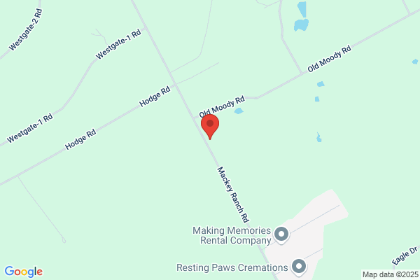 Tech Monkey Services