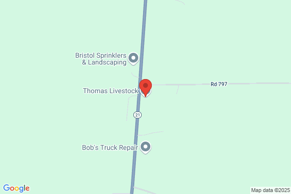 Thomas Livestock Co Inc