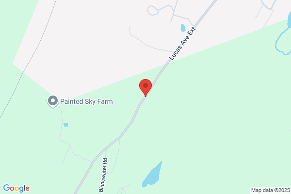 Plunket & Plunket