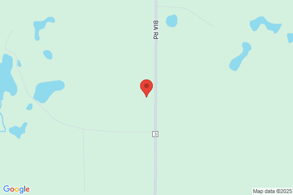 Buffalo Lake Restaurant