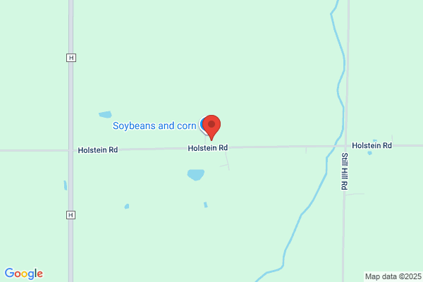 Kingdom Haven Farm