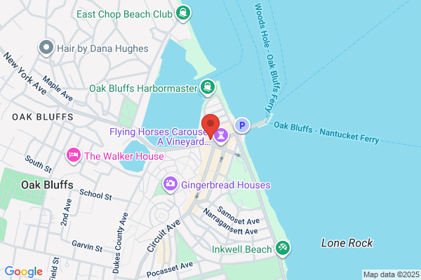 Martha's Vineyard Sightseeing Tours