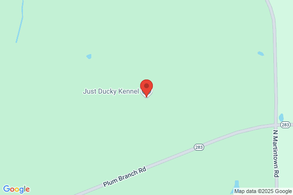 Just Ducky Kennel