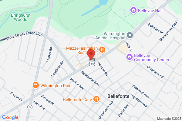 Brandywine Physical Therapy Services Inc