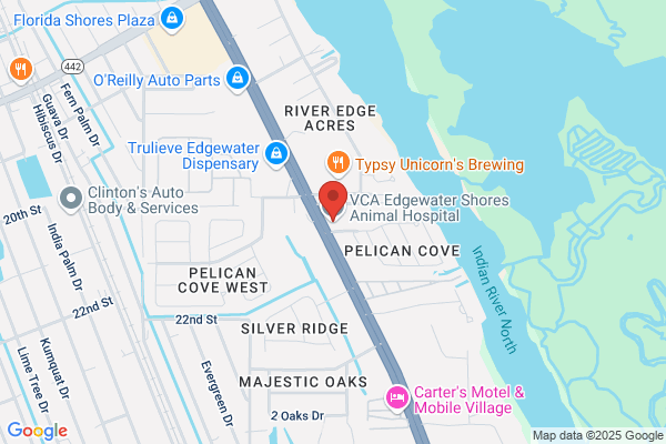 VCA Newman Edgewater Animal Hospital