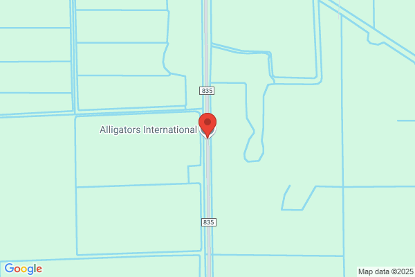 Alligator LLC