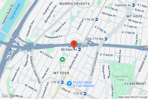 Mt Eden Auto Repair
