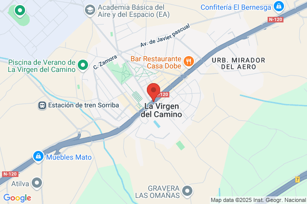 La Virgen Del Camino