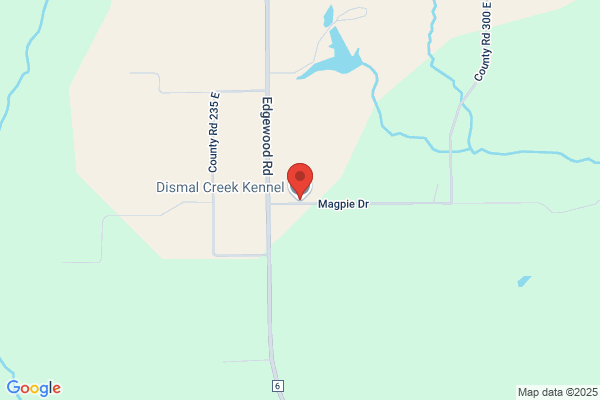 Dismal Creek Kennel