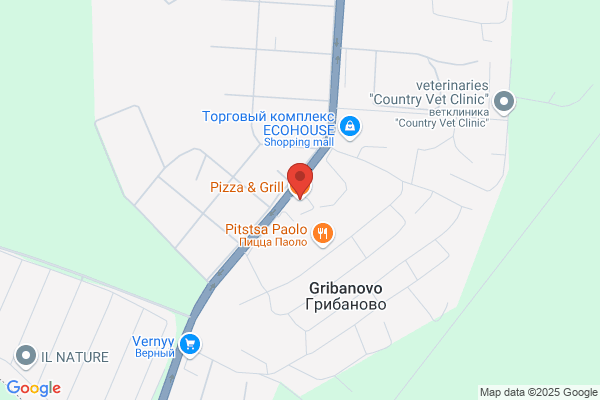 Gus's Pizza & Grill