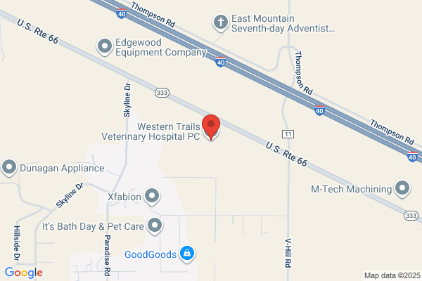Western Trails Veterinary Hospital PC