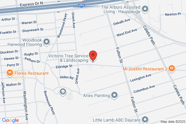Victorio Tree Service  and  Landscaping