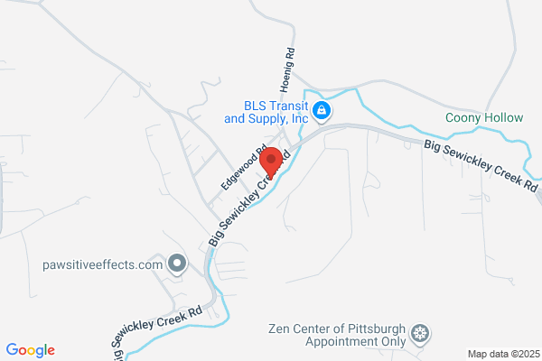 Mold Pros of West PA