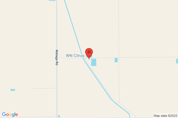 Willits & Newcomb Inc.