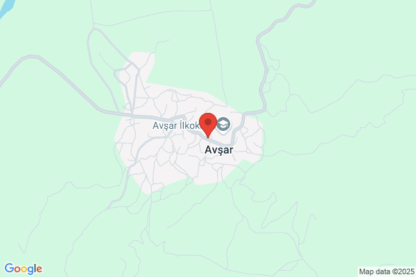Avsar