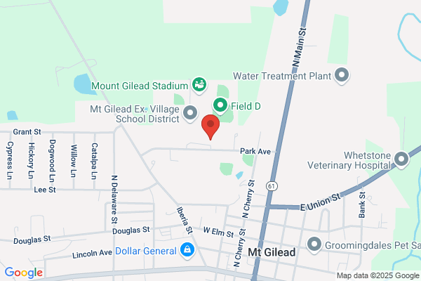 Schools, Mt Gilead Exempted Village, High School