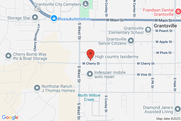 High Country Firearms & Taxidermy