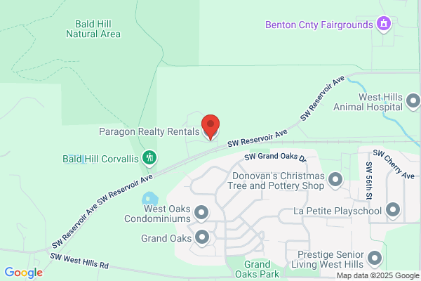 Paragon Realty