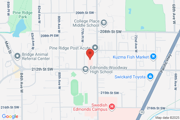 Castner Teresa DDS