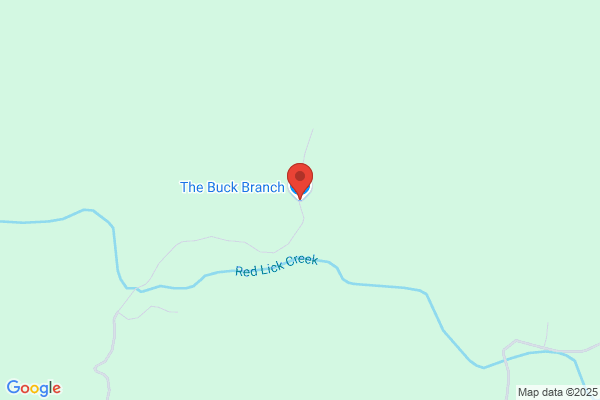 The Buck Branch