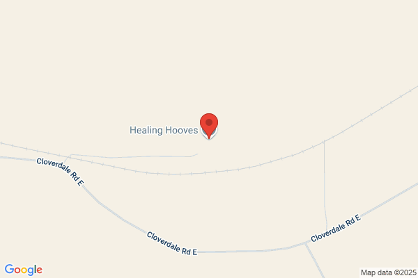 Healing Hooves