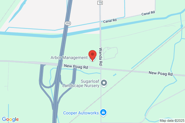 Arbor Management