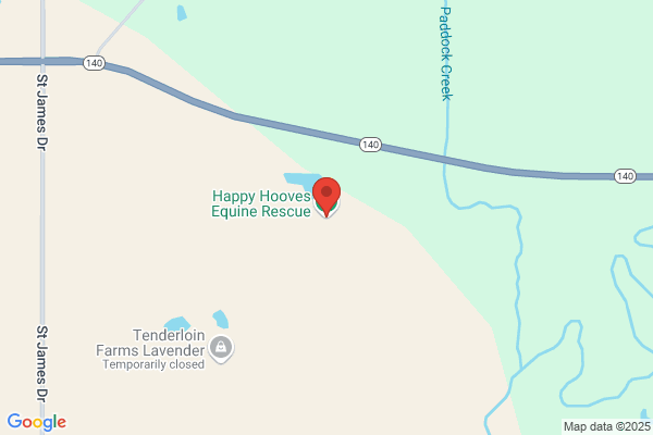 Happy Hooves Equine Rescue