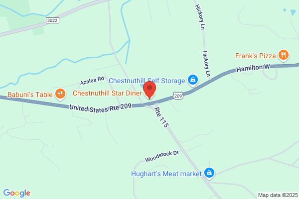 Gold Star Diner & Family Restaurant