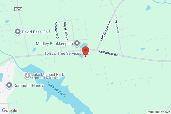 Torry's Tree Service