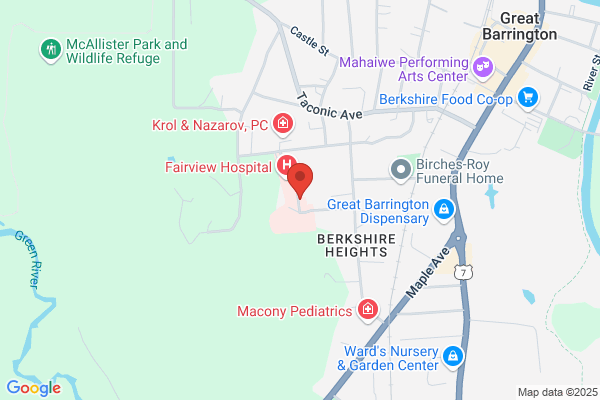 Berkshire Orthopaedic Associates Inc