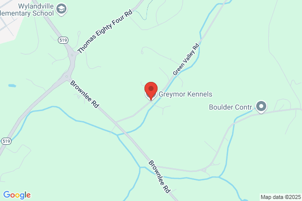 Greymor Kennel