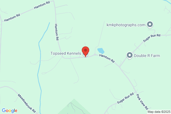 Topseed Kennels