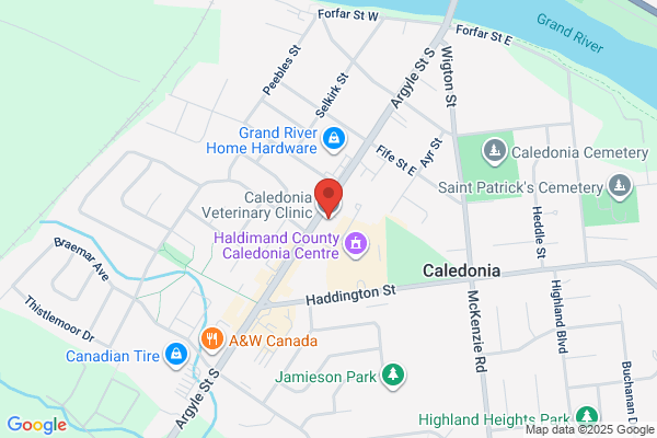 Caledonia Veterinary Service